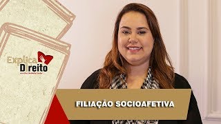 Explica Direito Filiação Socioafetiva  2019 [upl. by Dnomsad166]