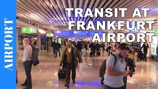 TRANSIT WALK AT FRANKFURT Airport FRA Terminal 1  Connection Flight Transfer Arriving amp Departing [upl. by Anirdnaxela]